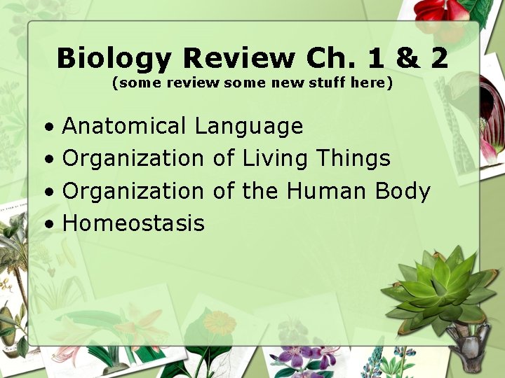 Biology Review Ch. 1 & 2 (some review some new stuff here) • Anatomical