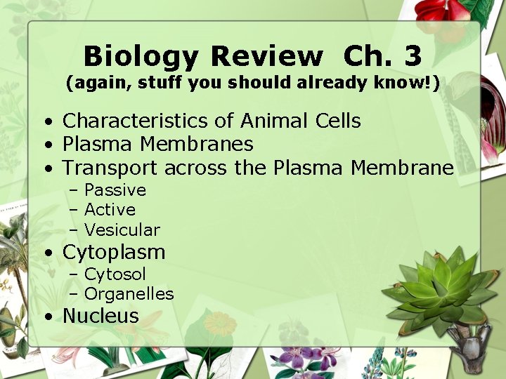 Biology Review Ch. 3 (again, stuff you should already know!) • Characteristics of Animal