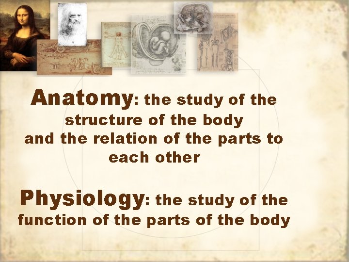 Anatomy: the study of the structure of the body and the relation of the