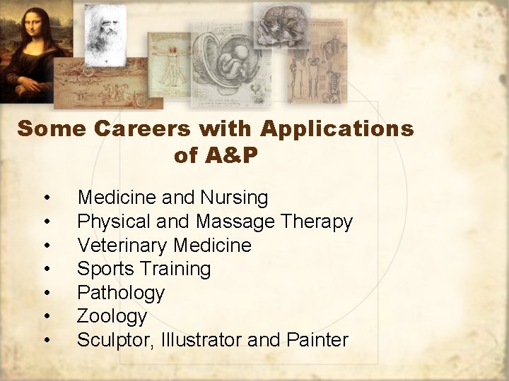Some Careers with Applications of A&P • • Medicine and Nursing Physical and Massage