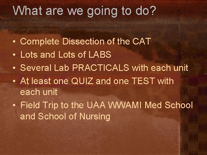 What are we going to do? • • Complete Dissection of the CAT Lots