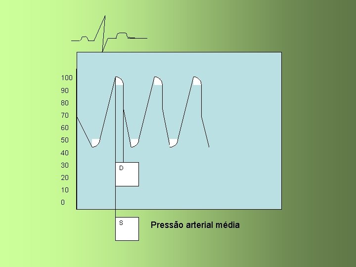 100 90 80 70 60 50 40 30 D 20 10 0 S Pressão