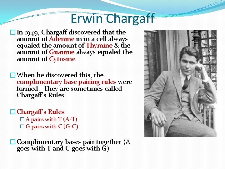 Erwin Chargaff �In 1949, Chargaff discovered that the amount of Adenine in in a