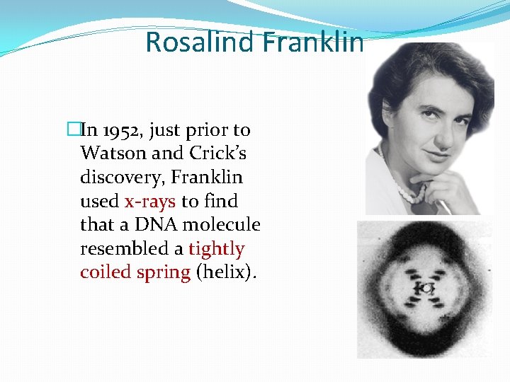 Rosalind Franklin �In 1952, just prior to Watson and Crick’s discovery, Franklin used x-rays