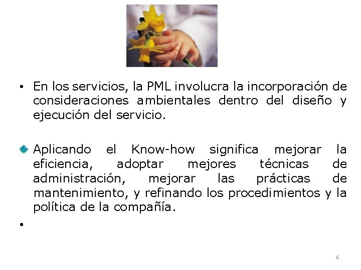  • En los servicios, la PML involucra la incorporación de consideraciones ambientales dentro