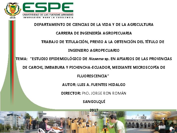 DEPARTAMENTO DE CIENCIAS DE LA VIDA Y DE LA AGRICULTURA CARRERA DE INGENIERÍA AGROPECUARIA DEPARTAMENTO DE CIENCIAS DE LA VIDA Y DE LA AGRICULTURA CARRERA DE INGENIERÍA AGROPECUARIA