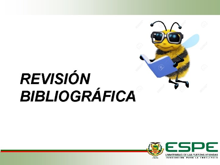 REVISIÓN BIBLIOGRÁFICA 