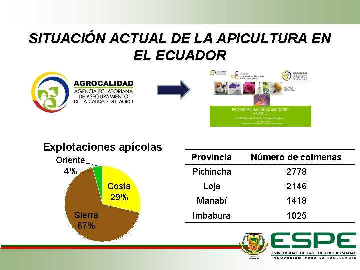SITUACIÓN ACTUAL DE LA APICULTURA EN EL ECUADOR Explotaciones apícolas Oriente 4% Costa 29% SITUACIÓN ACTUAL DE LA APICULTURA EN EL ECUADOR Explotaciones apícolas Oriente 4% Costa 29%