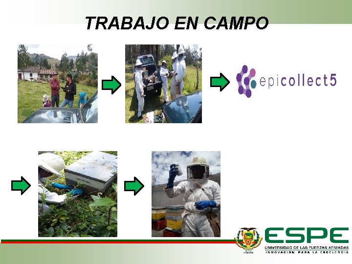 TRABAJO EN CAMPO 