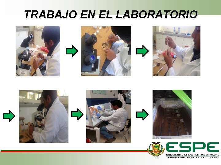 TRABAJO EN EL LABORATORIO 