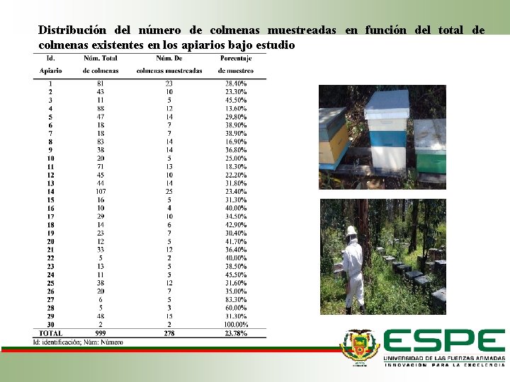 Distribución del número de colmenas muestreadas en función del total de colmenas existentes en