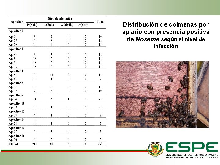 Distribución de colmenas por apiario con presencia positiva de Nosema según el nivel de