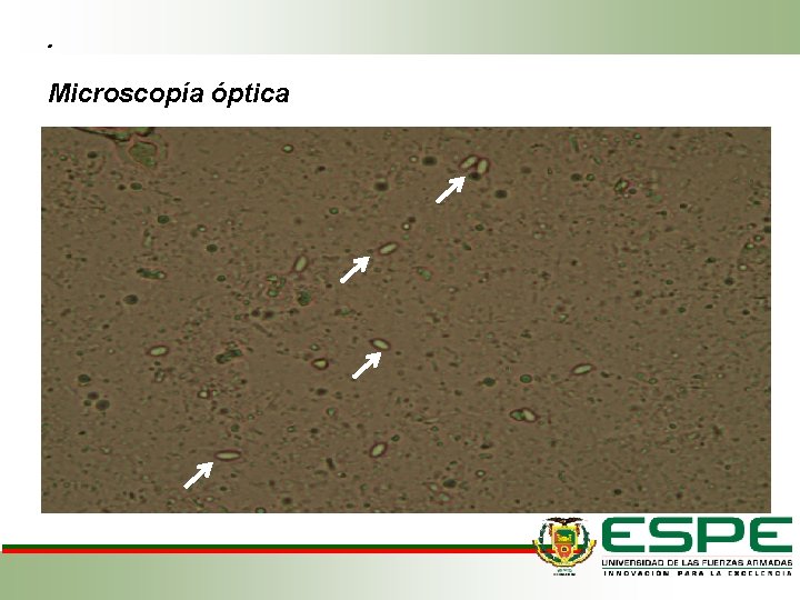 . Microscopía óptica . Microscopía óptica