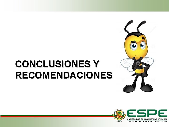 CONCLUSIONES Y RECOMENDACIONES 