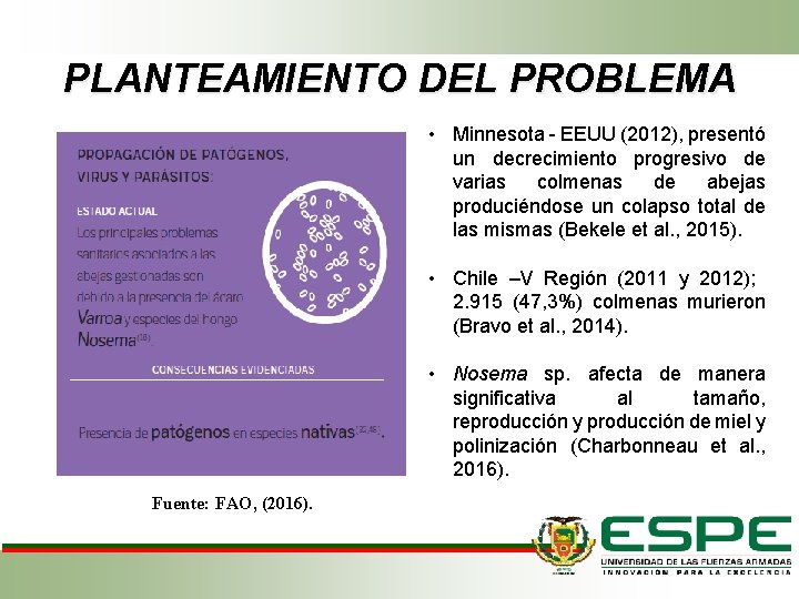 PLANTEAMIENTO DEL PROBLEMA • Minnesota - EEUU (2012), presentó un decrecimiento progresivo de varias