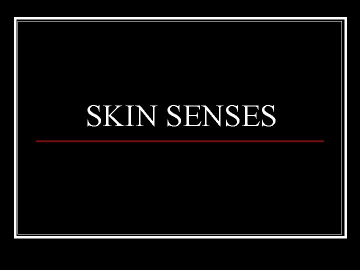 SKIN SENSES 