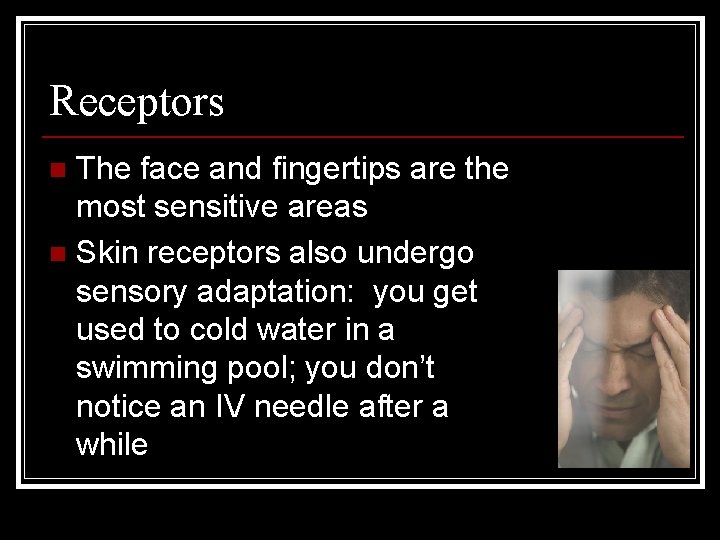 Receptors The face and fingertips are the most sensitive areas n Skin receptors also