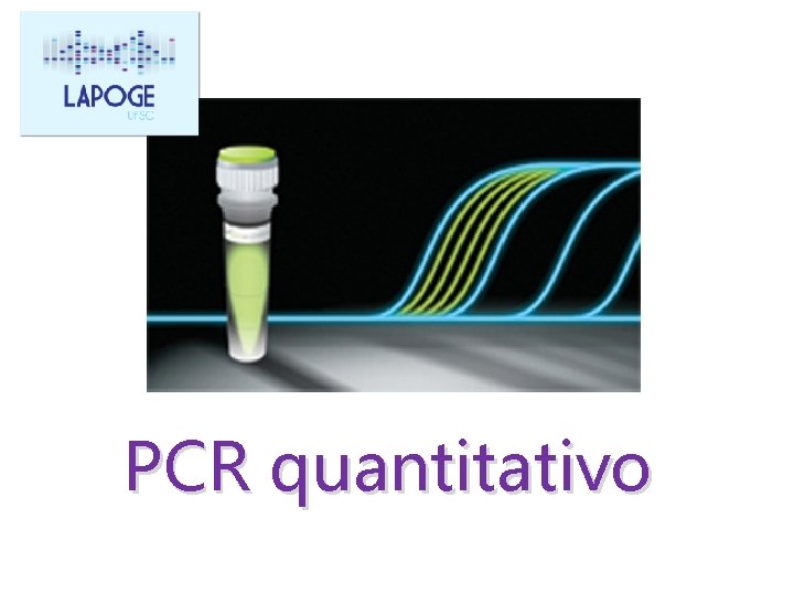 PCR quantitativo 