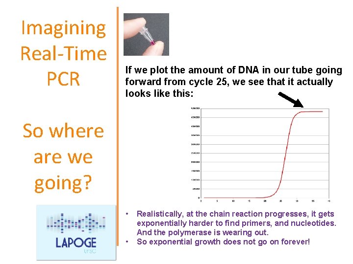 Imagining Real-Time PCR If we plot the amount of DNA in our tube going