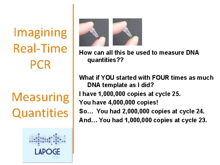 Imagining Real-Time PCR Measuring Quantities How can all this be used to measure DNA