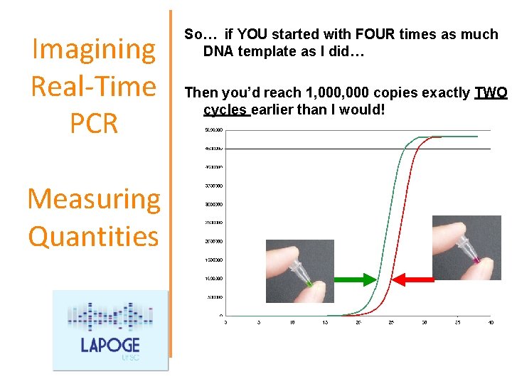 Imagining Real-Time PCR Measuring Quantities So… if YOU started with FOUR times as much