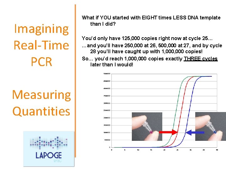 Imagining Real-Time PCR Measuring Quantities What if YOU started with EIGHT times LESS DNA