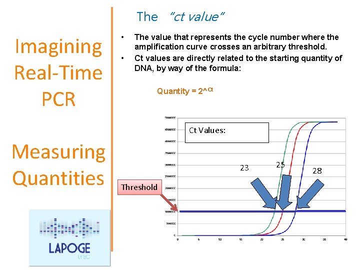 The “ct value” Imagining Real-Time PCR • • The value that represents the cycle