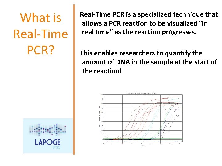 What is Real-Time PCR? Real-Time PCR is a specialized technique that allows a PCR