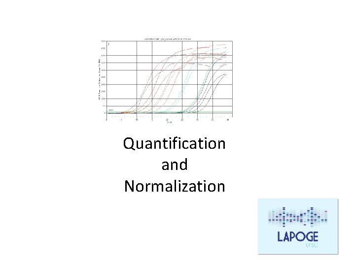 Quantification and Normalization 