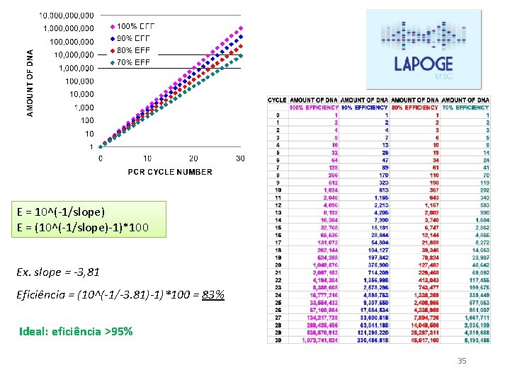 E = 10^(-1/slope) E = (10^(-1/slope)-1)*100 Ex. slope = -3, 81 Eficiência = (10^(-1/-3.