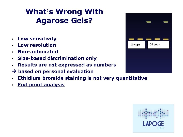 What’s Wrong With Agarose Gels? Low sensitivity § Low resolution § Non-automated § Size-based