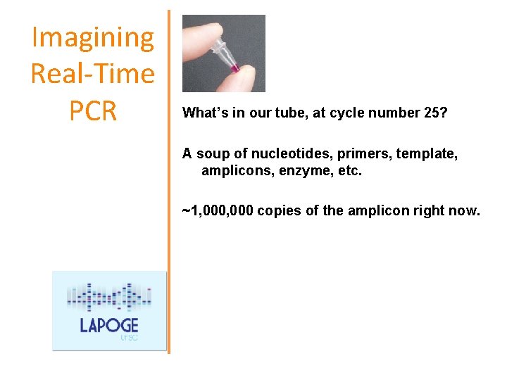 Imagining Real-Time PCR What’s in our tube, at cycle number 25? A soup of