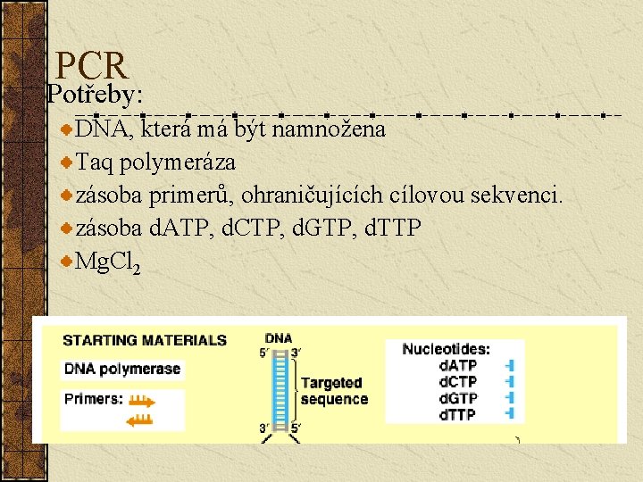 PCR Potřeby: DNA, která má být namnožena Taq polymeráza zásoba primerů, ohraničujících cílovou sekvenci.