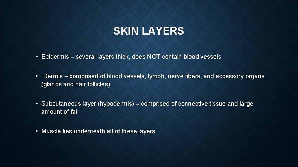 SKIN LAYERS • Epidermis – several layers thick, does NOT contain blood vessels • SKIN LAYERS • Epidermis – several layers thick, does NOT contain blood vessels •