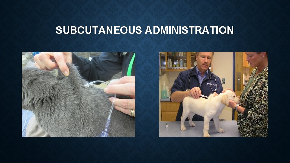 SUBCUTANEOUS ADMINISTRATION SUBCUTANEOUS ADMINISTRATION
