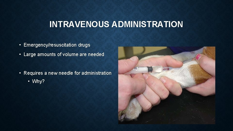 INTRAVENOUS ADMINISTRATION • Emergency/resuscitation drugs • Large amounts of volume are needed • Requires INTRAVENOUS ADMINISTRATION • Emergency/resuscitation drugs • Large amounts of volume are needed • Requires