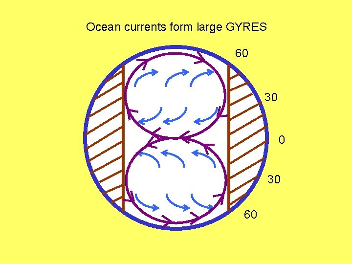 Ocean currents form large GYRES 60 30 60 