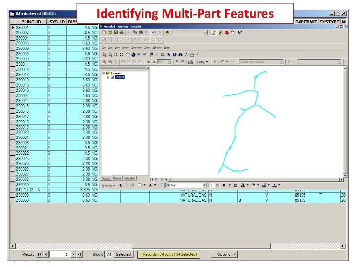 Identifying Multi-Part Features 