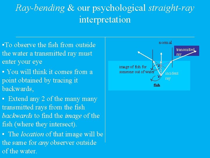 Ray-bending & our psychological straight-ray interpretation • To observe the fish from outside the