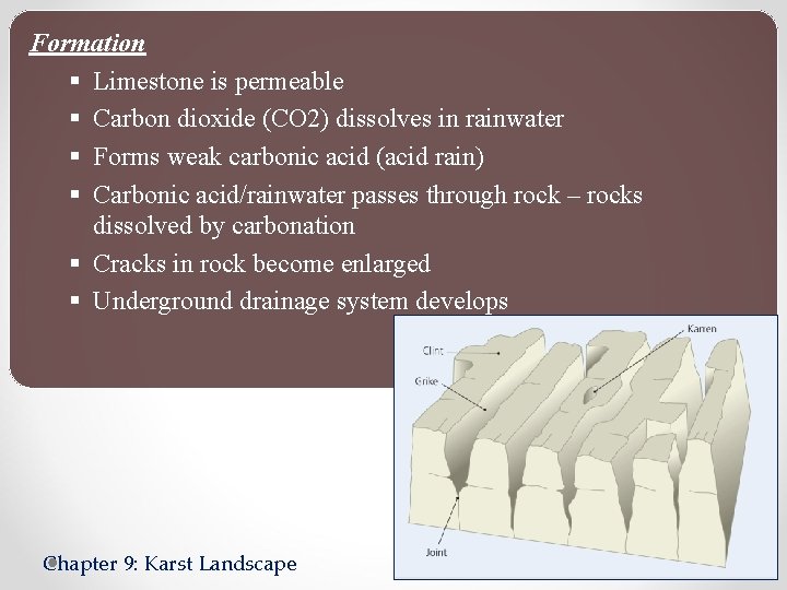 Formation § Limestone is permeable § Carbon dioxide (CO 2) dissolves in rainwater §