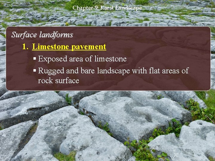 Chapter 9: Karst Landscape Surface landforms 1. Limestone pavement § Exposed area of limestone