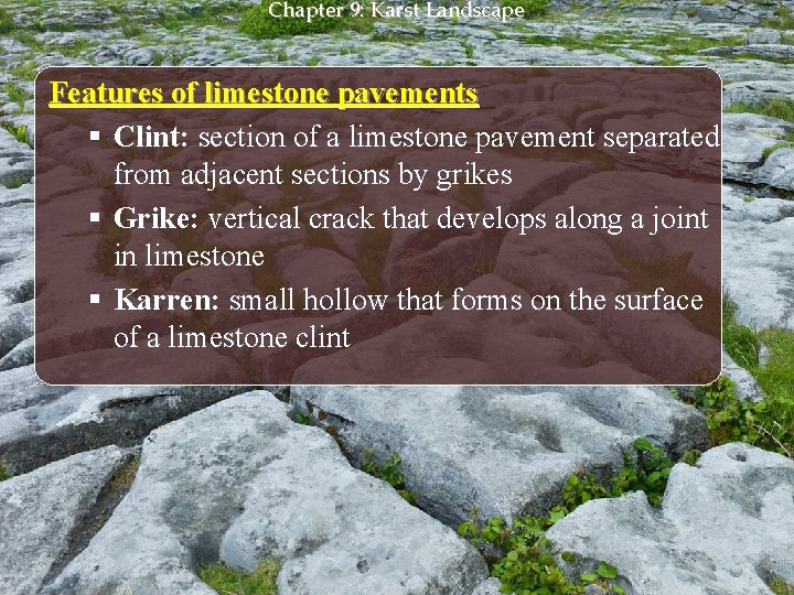 Chapter 9: Karst Landscape Features of limestone pavements § Clint: section of a limestone