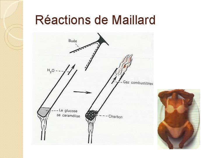 Réactions de Maillard 