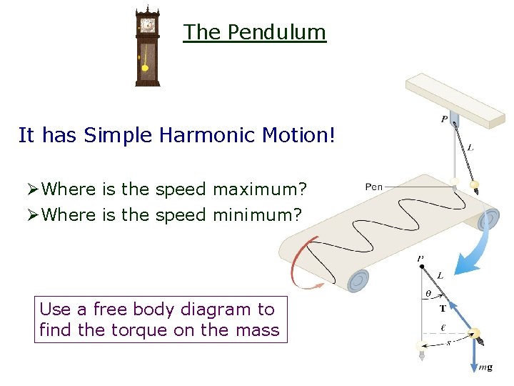 The Pendulum It has Simple Harmonic Motion! ØWhere is the speed maximum? ØWhere is