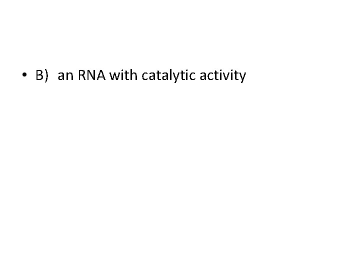  • B) an RNA with catalytic activity 