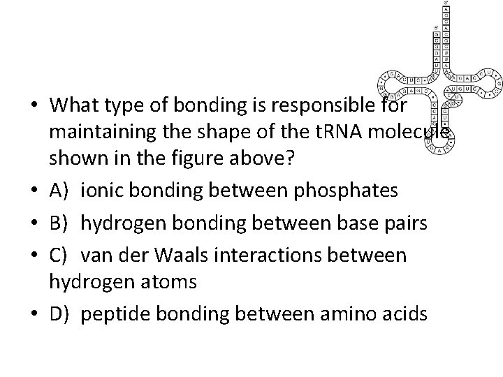  • What type of bonding is responsible for maintaining the shape of the