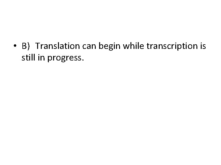  • B) Translation can begin while transcription is still in progress. 