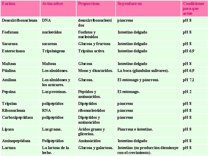 Enzima Actúa sobre Proporciona Se produce en Condiciones para que actúe Desoxirribonucleasa DNA desoxirribonucleóti