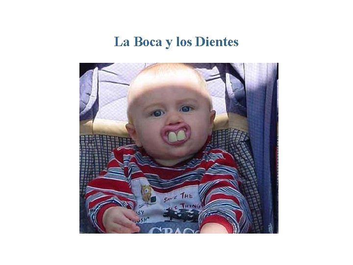 La Boca y los Dientes 