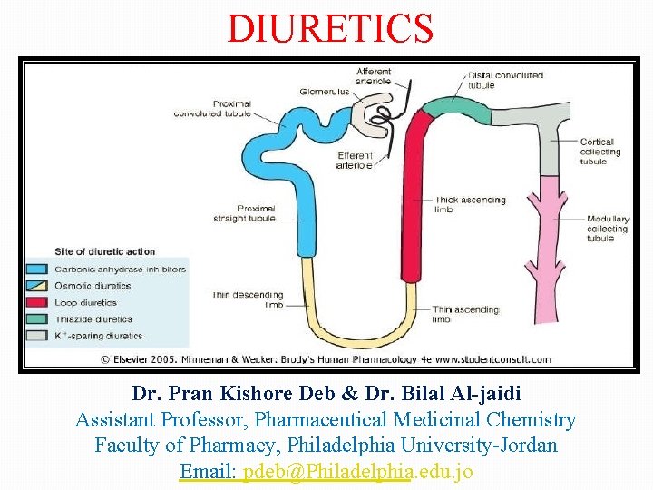 DIURETICS Dr. Pran Kishore Deb & Dr. Bilal Al-jaidi Assistant Professor, Pharmaceutical Medicinal Chemistry